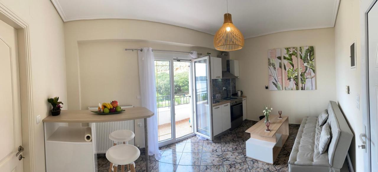 Sea View Dream Apartman Argosztóli Kültér fotó